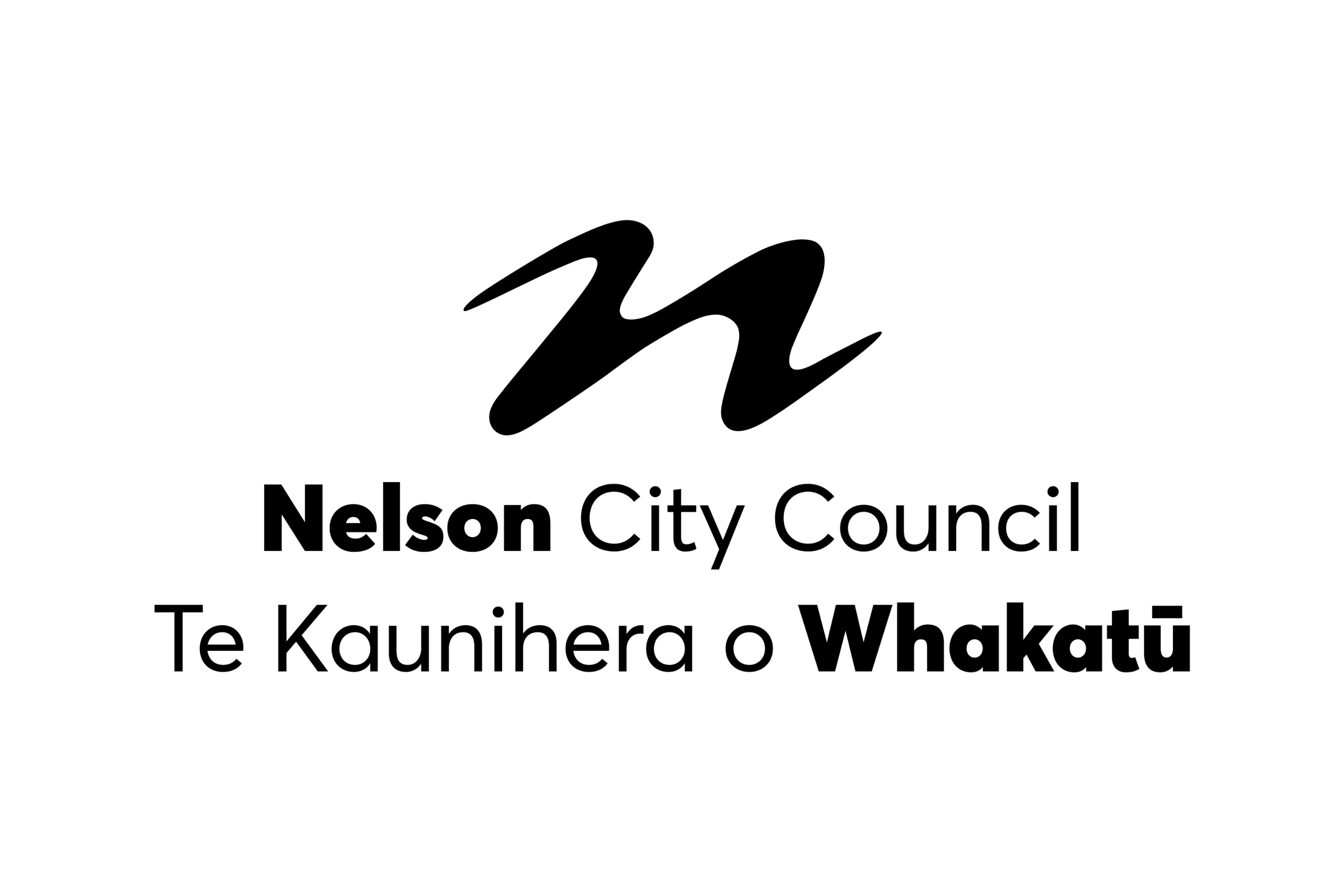 Nelson City Council logo (link to website)